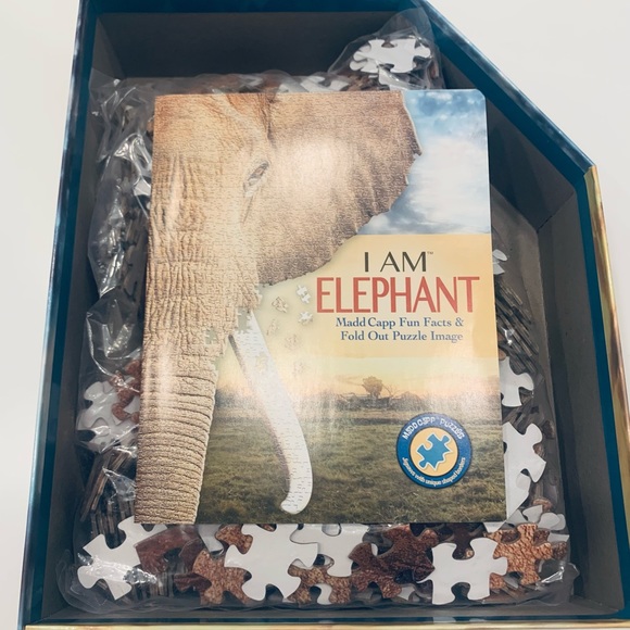 Jigsaw  Puzzle 🧩 - Picture 8 of 12